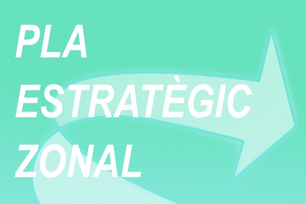 Plan Estratégico Zonal