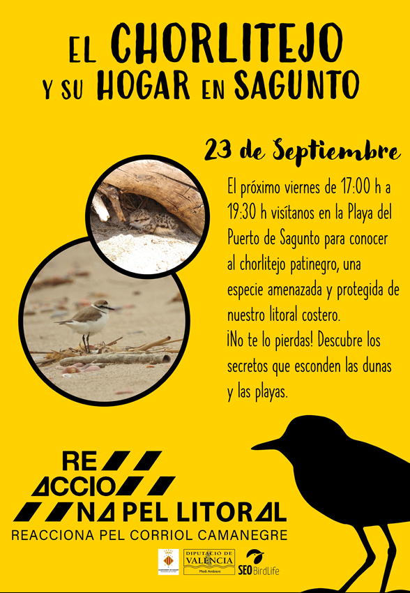 Cartel de la actividad